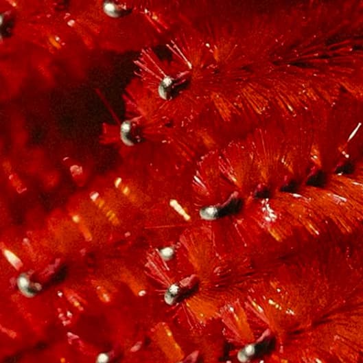 Lash Extensions Package at K Kotoure Esthetics in San Diego, CA